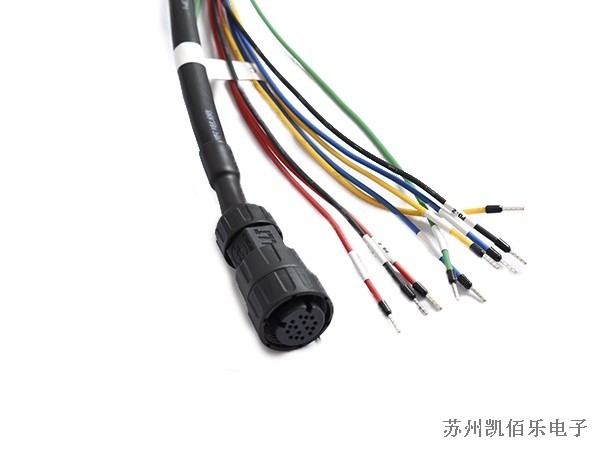 10P母頭線束 10P母頭線束